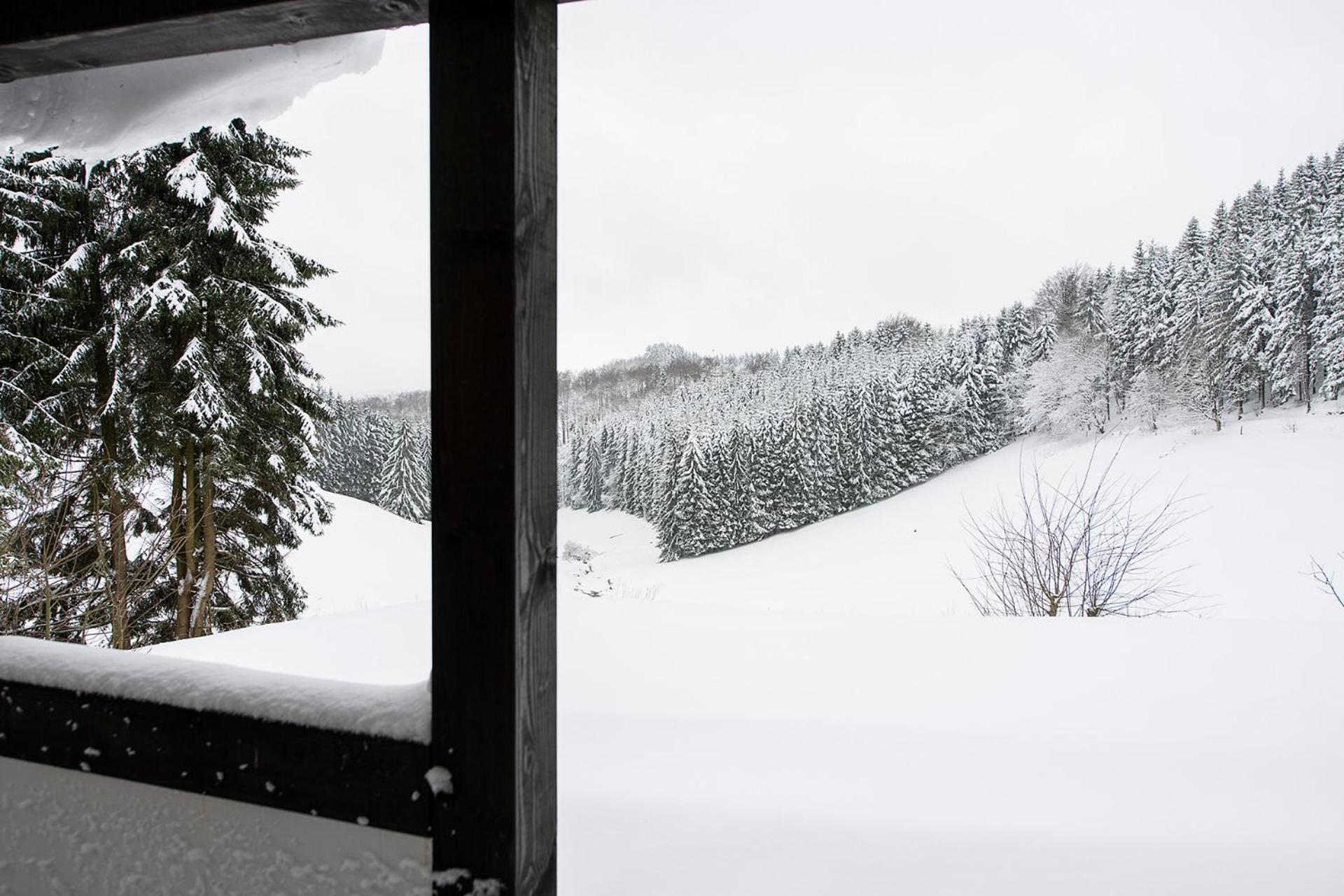 Romantikhuette Neuastenberg Winterberg Exteriör bild